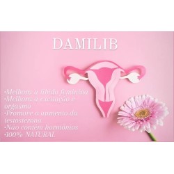 Damilib